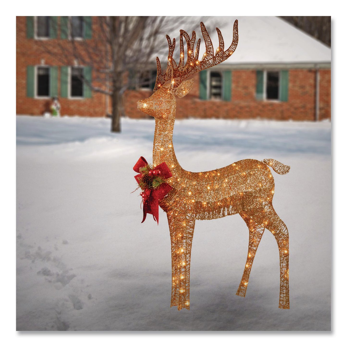Pre-Lit Standing Reindeer, AC Powered, Warm White LED Lights, 20.5" x 27" x 48", Champagne