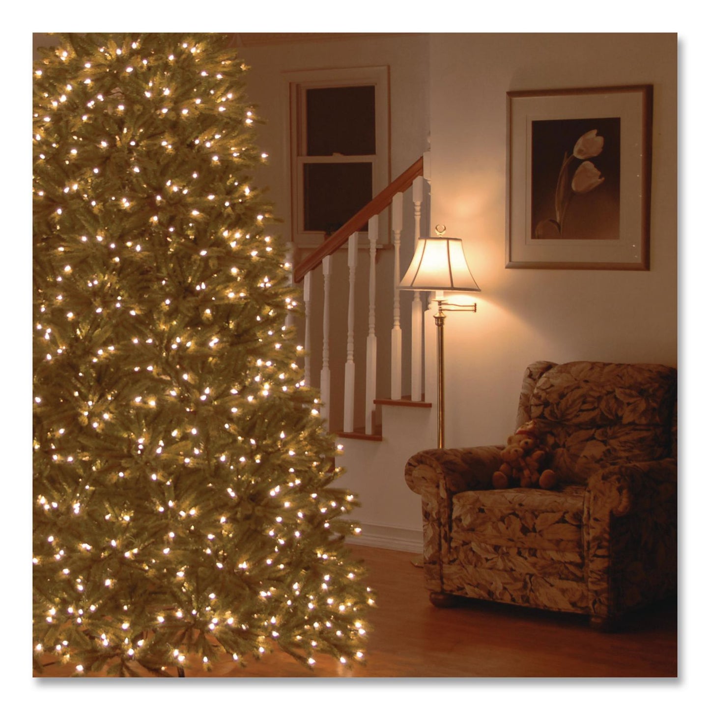 Pre-Lit Jersey Fraser Fir Medium Tree, 48" x 48" x 78", Green Tree, Green Tree Stand