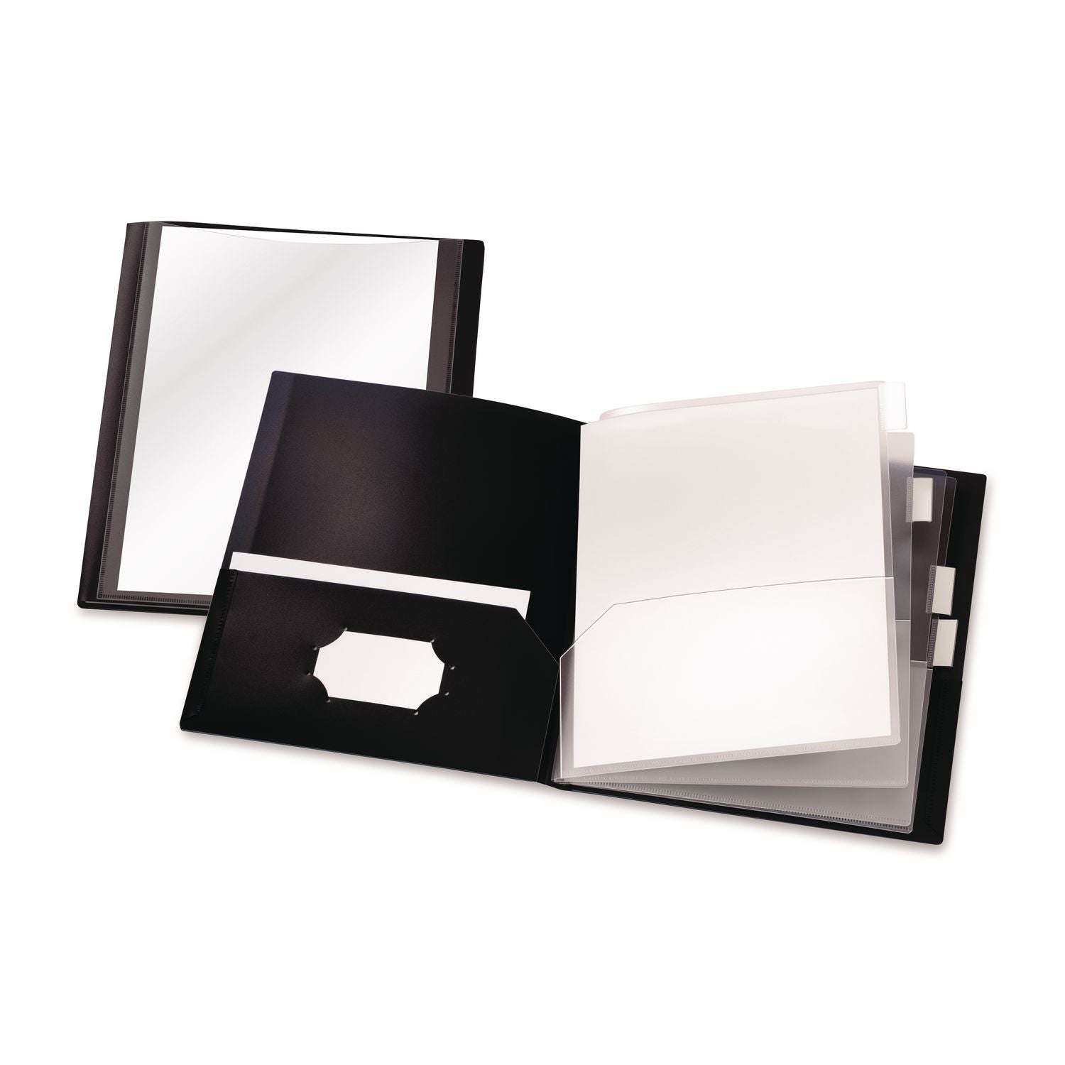 Reportpro 10-Pocket Project Organizer, 8.5 X 11, Clear/black