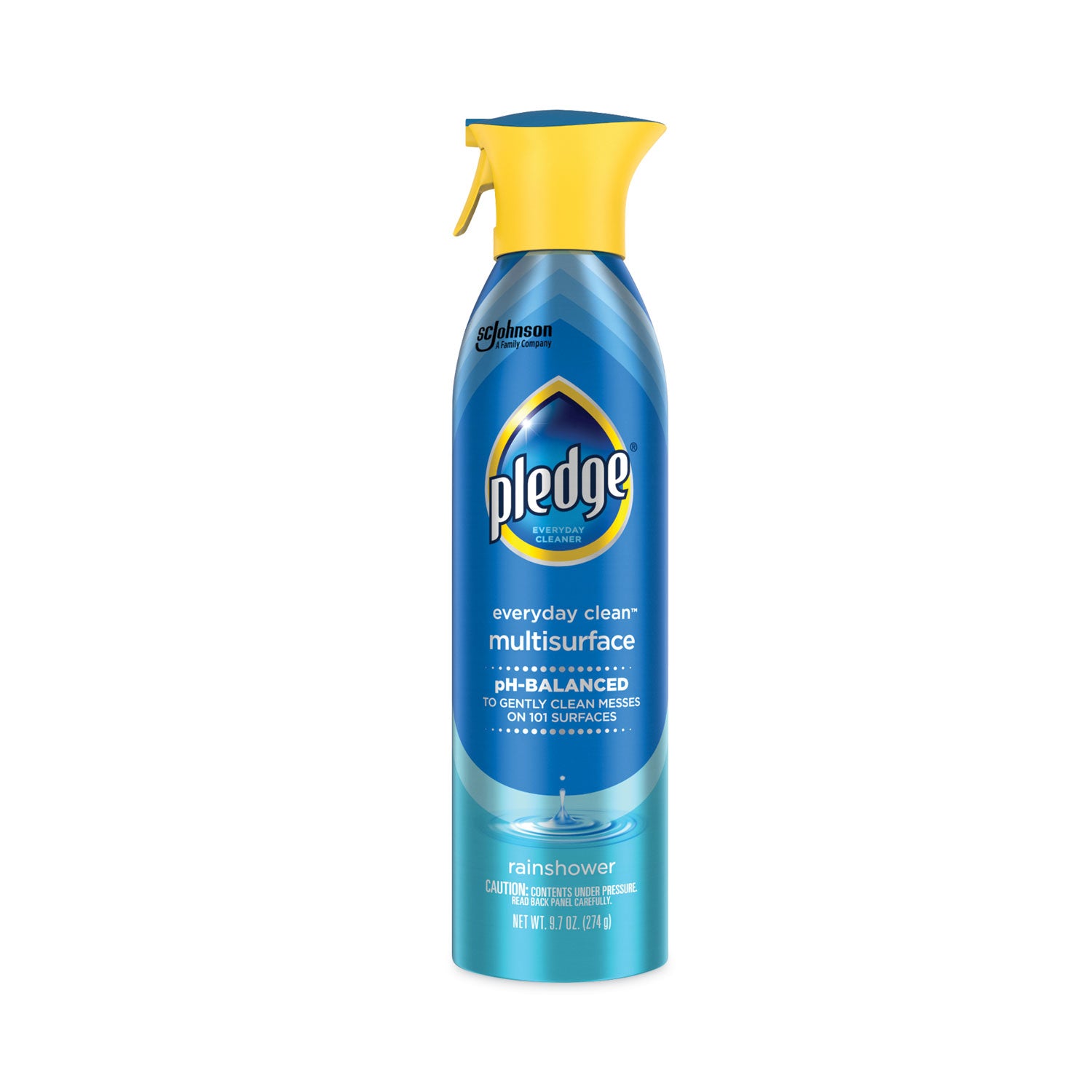 Multi-Surface Everyday, Rainshower Scent, 9.7 oz Aerosol Spray