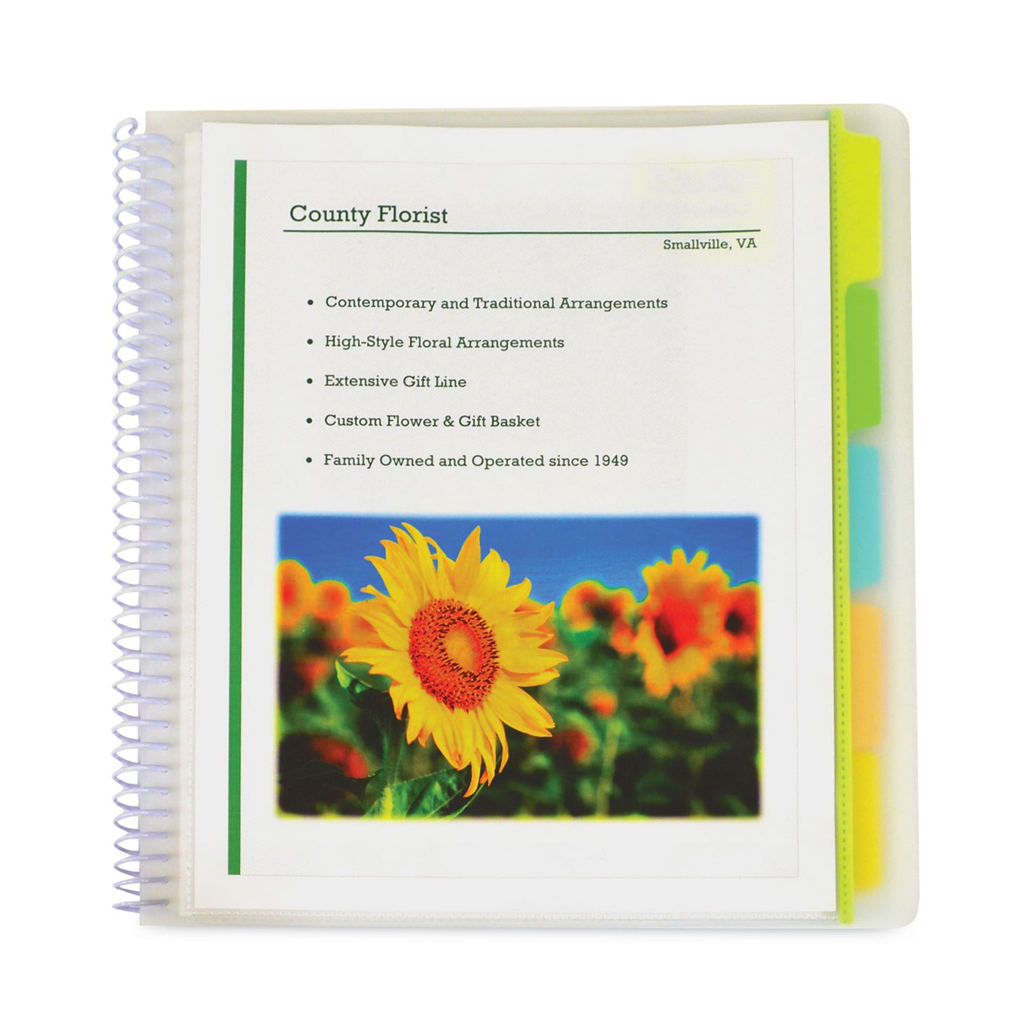 10-Pocket Poly Portfolio With Write-On Tabs, 8.5 X 11, Clear/clear