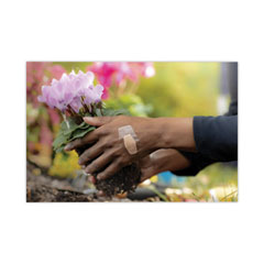 https://content.oppictures.com/Master_Images/Master_Variants/Variant_240/792904.JPG
