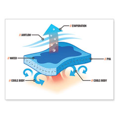 https://content.oppictures.com/Master_Images/Master_Variants/Variant_240/829863.JPG