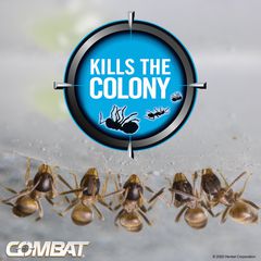 https://content.oppictures.com/Master_Images/Master_Variants/Variant_240/907469.JPG